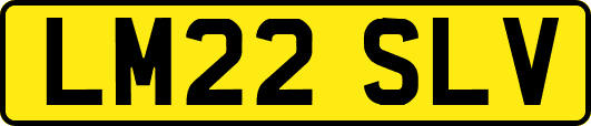 LM22SLV