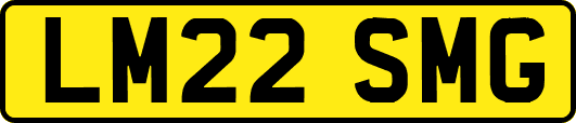 LM22SMG