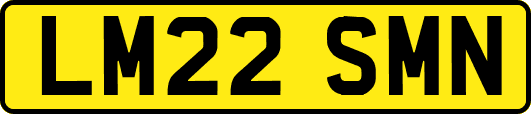 LM22SMN