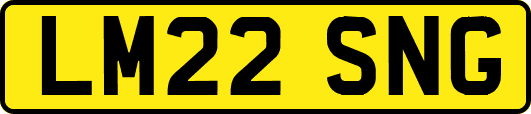 LM22SNG