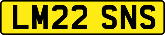 LM22SNS