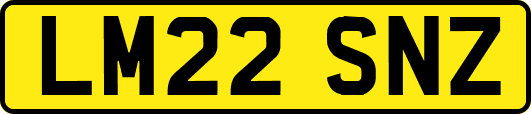 LM22SNZ