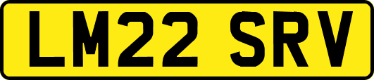 LM22SRV