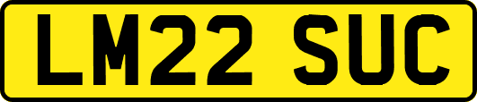 LM22SUC