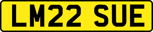 LM22SUE