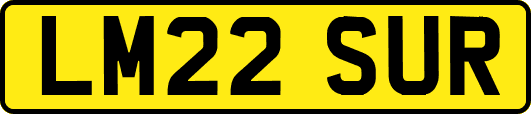 LM22SUR