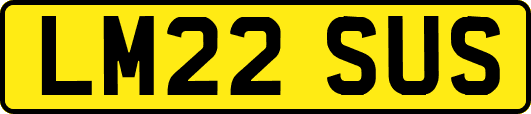 LM22SUS