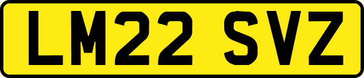 LM22SVZ