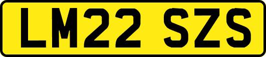 LM22SZS