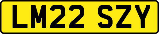 LM22SZY