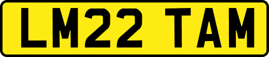 LM22TAM