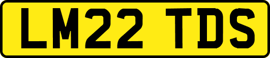 LM22TDS