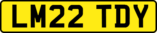 LM22TDY