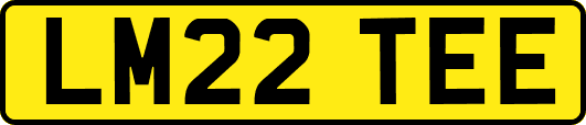 LM22TEE