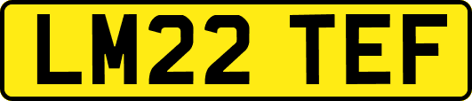 LM22TEF