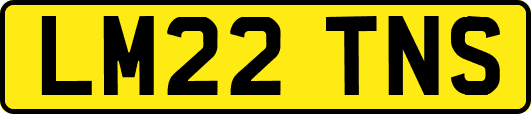LM22TNS