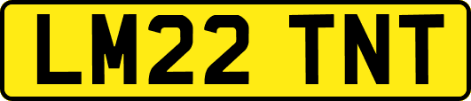 LM22TNT