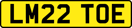 LM22TOE