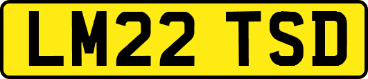 LM22TSD