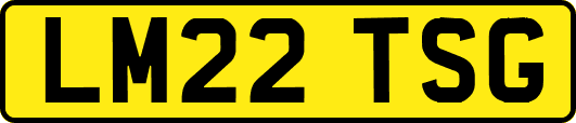 LM22TSG