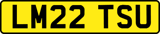 LM22TSU