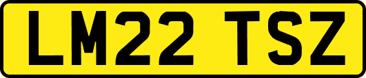 LM22TSZ