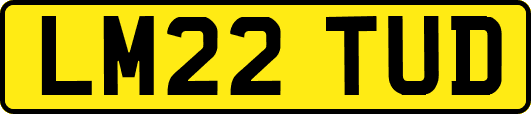 LM22TUD