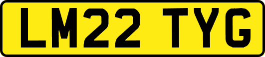 LM22TYG