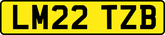 LM22TZB