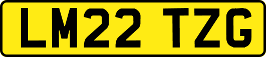 LM22TZG