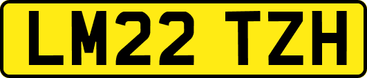 LM22TZH