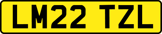 LM22TZL