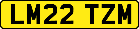 LM22TZM