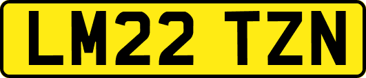 LM22TZN