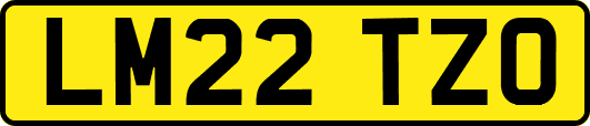 LM22TZO