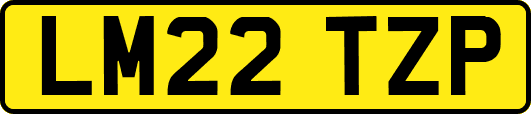 LM22TZP