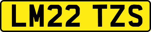 LM22TZS