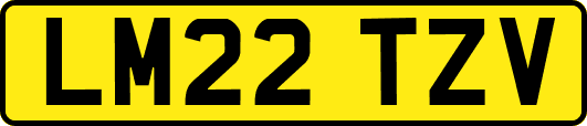 LM22TZV