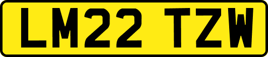 LM22TZW