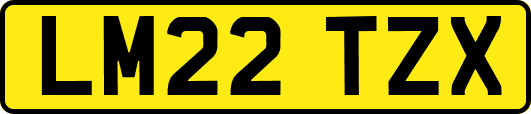 LM22TZX