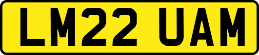 LM22UAM