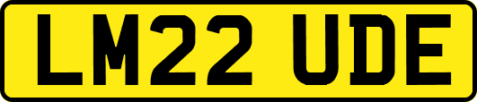 LM22UDE