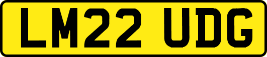 LM22UDG