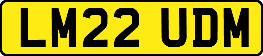 LM22UDM