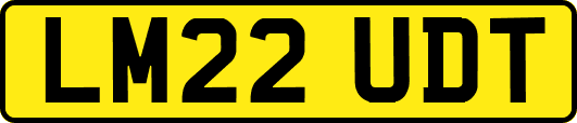 LM22UDT