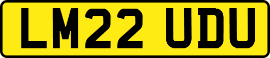 LM22UDU