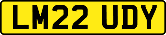 LM22UDY