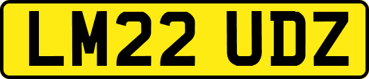 LM22UDZ