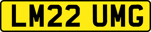 LM22UMG