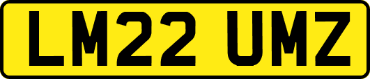 LM22UMZ